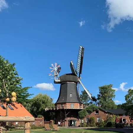 Kiebitzkueken